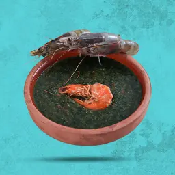 طاجن ملوخية بالجمبري